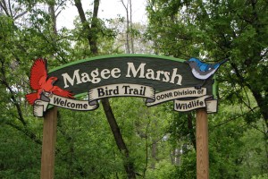 Photo by Grace Grogan