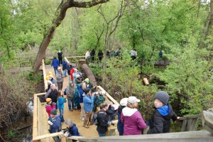 Photo by Grace Grogan