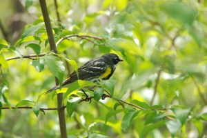 Photograph by Grace Grogan