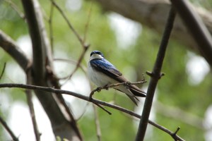 Photo by Grace Grogan