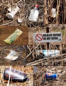 Litter Collage