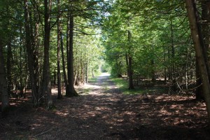 Walking the trails on Middle Island. Photo by Grace Groan