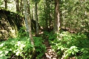 Walking to a waterfall.  Photo by Grace Grogan