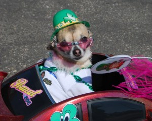 Photo by Grace Grogan, copyright 2009