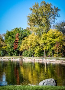Pond at Paint Creek, Rochester, Michigan.  Photo by Grace Grogan, copyright 2014