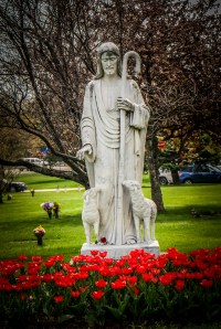 Photo by Grace Grogan, copyright 2014