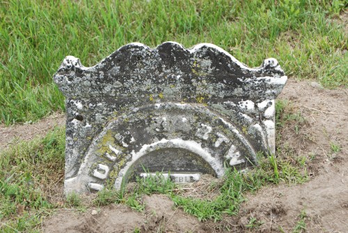 Photo by Grace Grogan, copyright 2013.