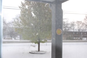 Photo copyright Grace Grogan 2014