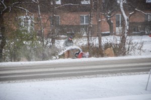 Photo copyright Grace Grogan 2014