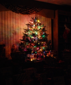 My Christmas Tree.  Photo by Grace Grogan