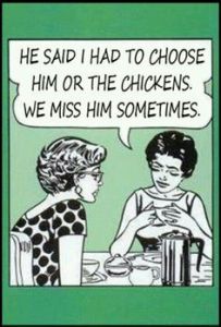 Chicken Coop - Miss Him Sometimes.