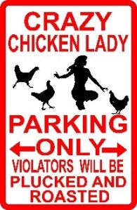 Chicken - Crazy Chicken Lady