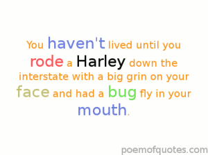 motorcycle - you haven't lived till grin and bug