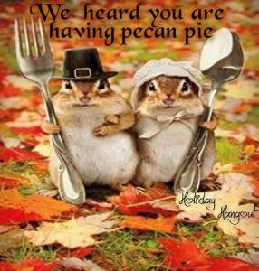 thanksgiving-pumpkin-pie