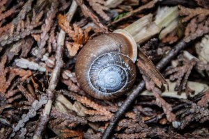 0579-walk-around-the-island-1