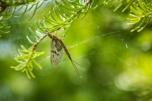 0785-walk-around-island-1