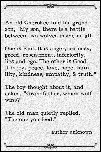 Attitude - the one you feed