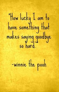 Goodbye - Winnie the Pooh