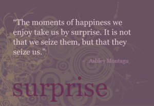 surprise - momens seize us