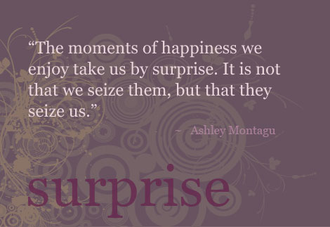 surprise - momens seize us