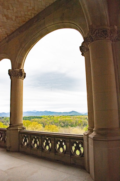 View From Back Terrace